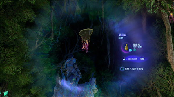 《阿凡達潘朵拉邊境》蔓藤菇獲取方式 《阿凡達潘朵拉邊境》蔓藤菇獲取方式