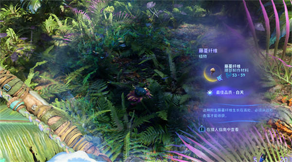 《阿凡達潘朵拉邊境》藤蔓纖維獲取方式 《阿凡達潘朵拉邊境》藤蔓纖維獲取方式