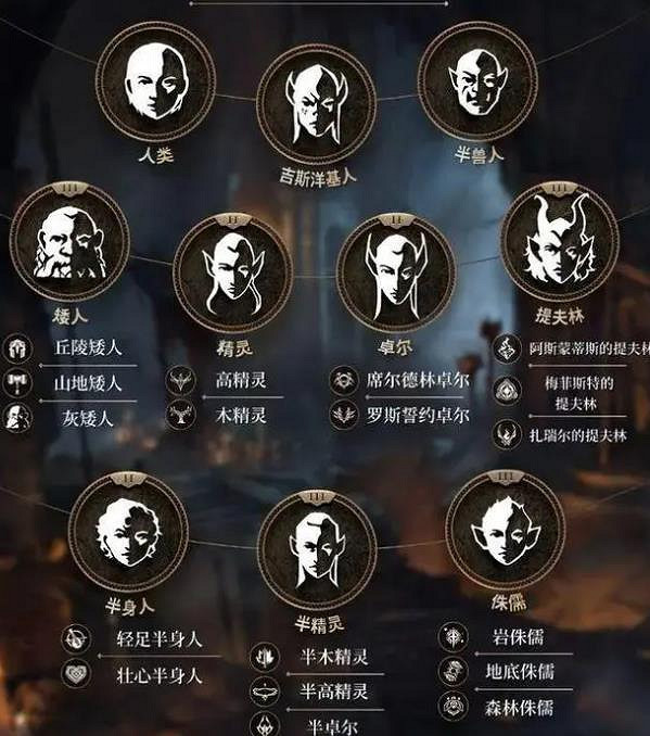 《柏德之門3》類型遊戲介紹 《柏德之門3》類型遊戲介紹