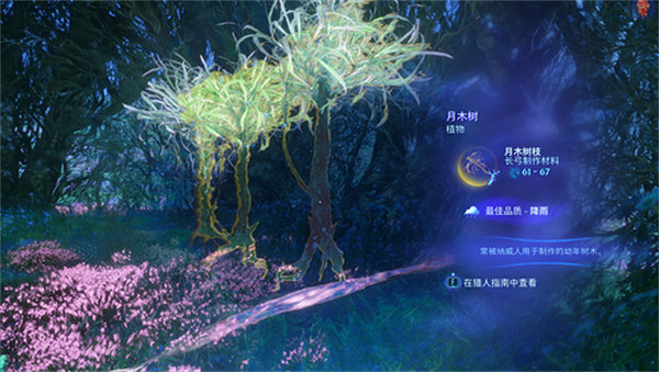 《阿凡達潘朵拉邊境》月木樹位置介紹 《阿凡達潘朵拉邊境》月木樹位置介紹