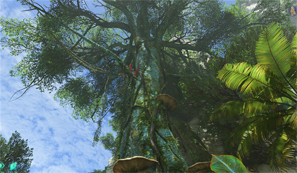 《阿凡達潘朵拉邊境》扭鱗樹皮獲取方法 《阿凡達潘朵拉邊境》扭鱗樹皮獲取方法