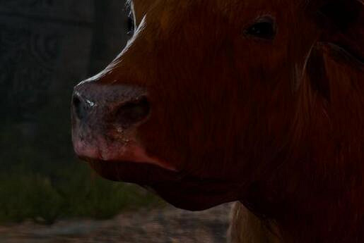 《柏德之門3》榮譽模式怎麽開局? 《柏德之門3》榮譽模式怎麽開局?