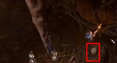 《柏德之門3》梟熊蛋作用介紹 《柏德之門3》梟熊蛋作用介紹