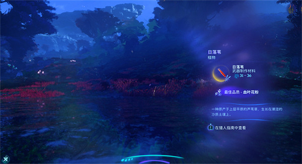 《阿凡達潘朵拉邊境》日落葦採集地點