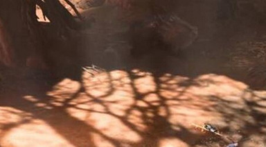 《柏德之門3》梟熊蛋作用介紹 《柏德之門3》梟熊蛋作用介紹