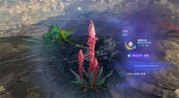 《阿凡達潘朵拉邊境》雨薊位置介紹 《阿凡達潘朵拉邊境》雨薊位置介紹