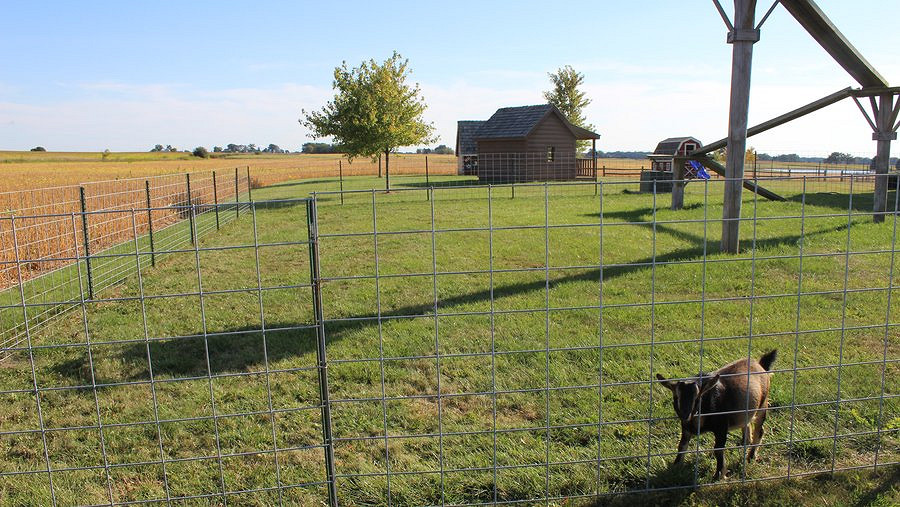 有鈔能力真好！微軟花7600萬美元買農場建新資料中心