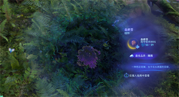 《阿凡達潘朵拉邊境》血瘀苔獲取方法 《阿凡達潘朵拉邊境》血瘀苔獲取方法