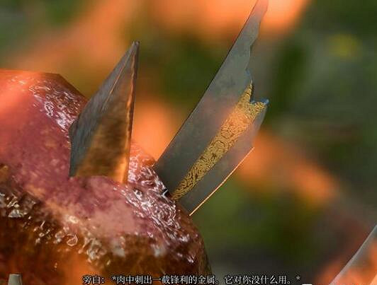 《柏德之門3》榮譽模式怎麽開局? 《柏德之門3》榮譽模式怎麽開局?