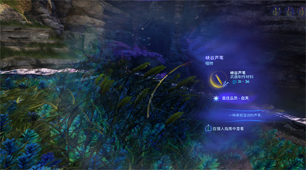 《阿凡達潘朵拉邊境》峽谷蘆葦採集位置 《阿凡達潘朵拉邊境》峽谷蘆葦採集位置