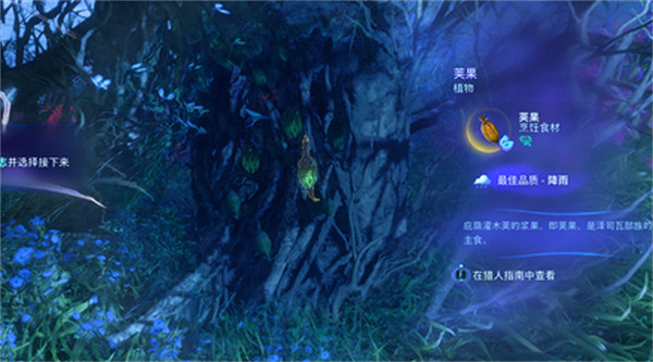 《阿凡達潘朵拉邊境》莢果位置 《阿凡達潘朵拉邊境》莢果位置