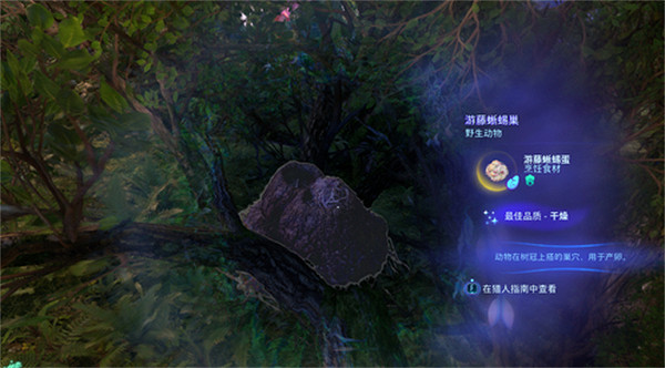 《阿凡達潘朵拉邊境》遊藤蜥蜴蛋獲取方法 《阿凡達潘朵拉邊境》遊藤蜥蜴蛋獲取方法