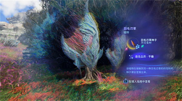 《阿凡達潘朵拉邊境》羽毛刃草獲取方法 《阿凡達潘朵拉邊境》羽毛刃草獲取方法