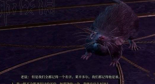 《柏德之門3》老鼠完全打完方法 《柏德之門3》老鼠完全打完方法