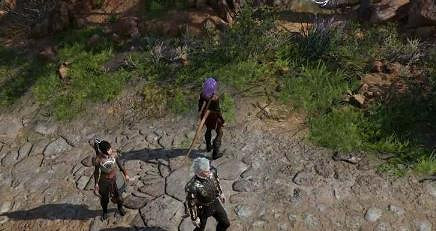 《柏德之門3》影心加點一覽