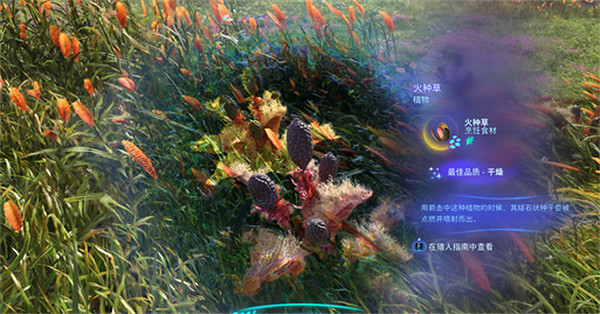 《阿凡達潘朵拉邊境》火種草獲取方法 《阿凡達潘朵拉邊境》火種草獲取方法
