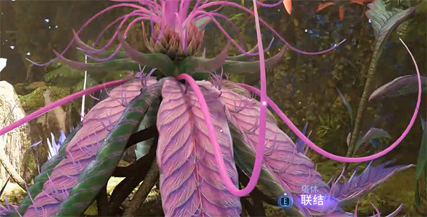 《阿凡達潘朵拉邊境》深層聯結進入方法