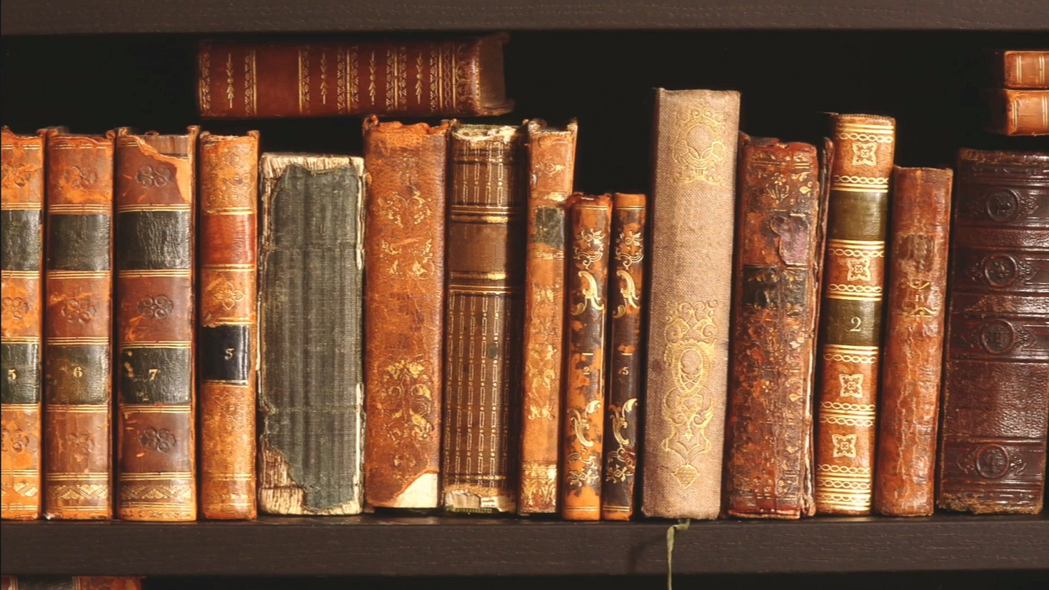 動作冒險遊戲《勇敢小騎士》曝宣傳片 畫風超可愛的! 動作冒險遊戲《勇敢小騎士》曝宣傳片 畫風超可愛的!