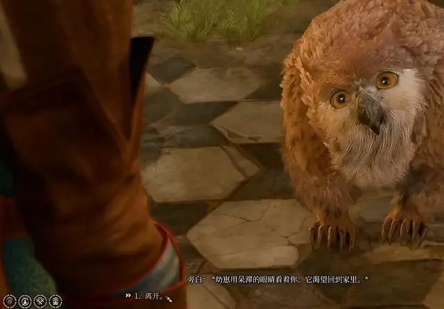 《柏德之門3》馴服梟熊方法 《柏德之門3》馴服梟熊方法