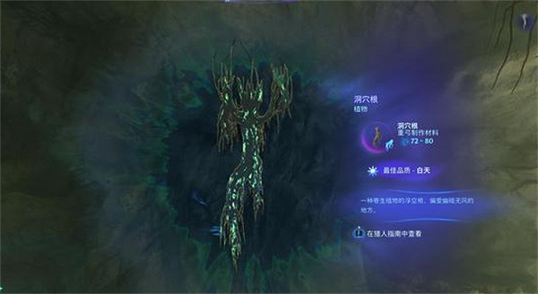 《阿凡達潘朵拉邊境》洞穴根位置介紹 《阿凡達潘朵拉邊境》洞穴根位置介紹