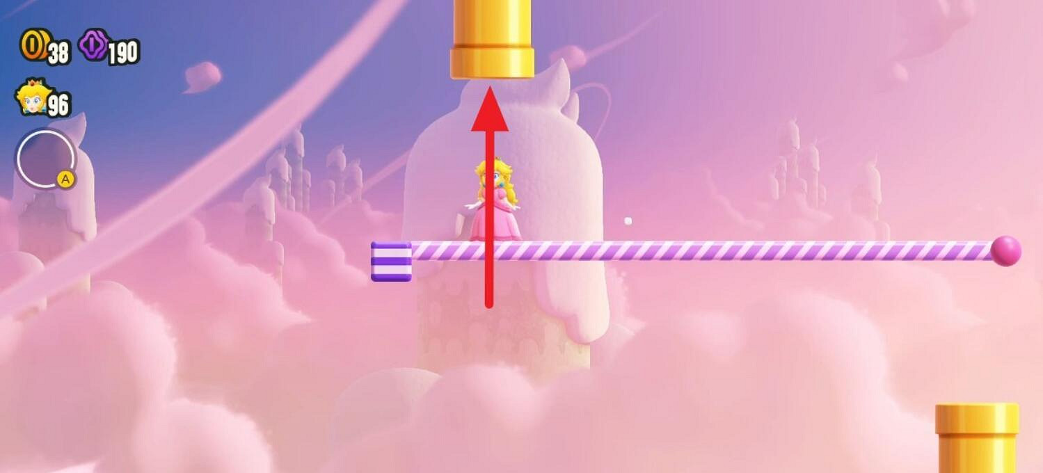 《超級瑪利歐驚奇》杆子杆子杆子紫幣全收集