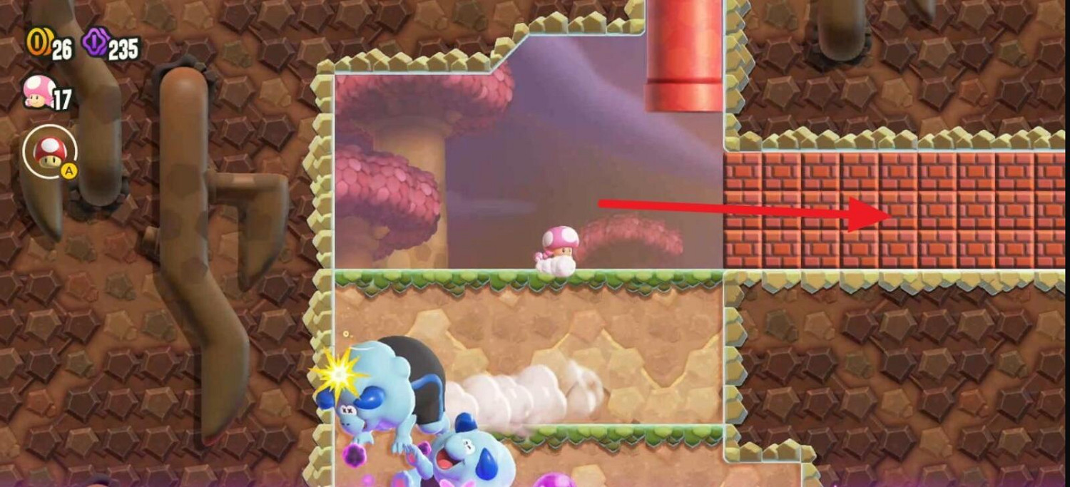 《超級瑪利歐驚奇》氣勢如虹全紫幣收集 《超級瑪利歐驚奇》氣勢如虹全紫幣收集