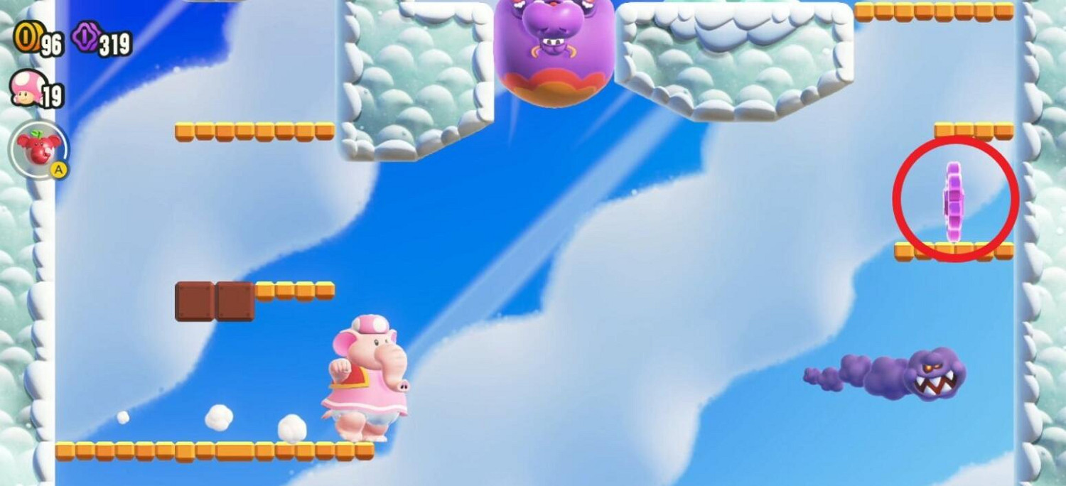 《超級瑪利歐驚奇》前往宇宙全紫幣收集 《超級瑪利歐驚奇》前往宇宙全紫幣收集