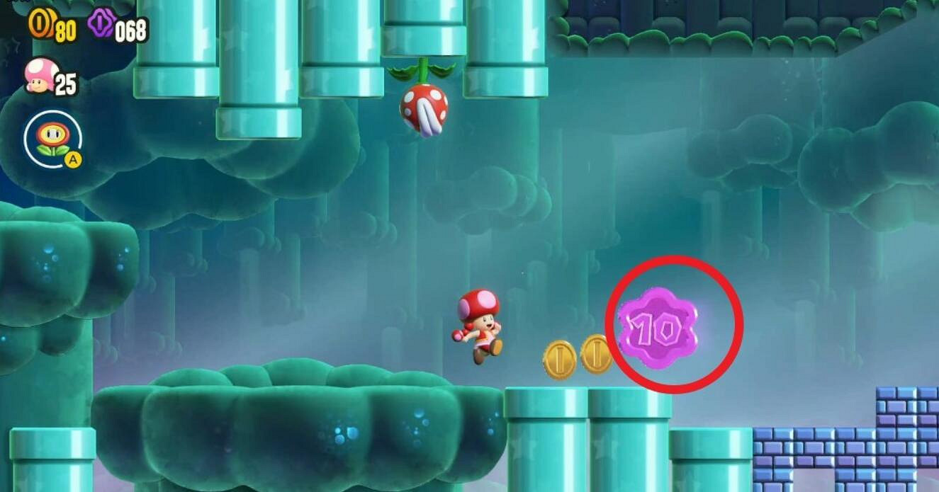 《超級瑪利歐驚奇》森林沼澤全紫幣收集 《超級瑪利歐驚奇》森林沼澤全紫幣收集