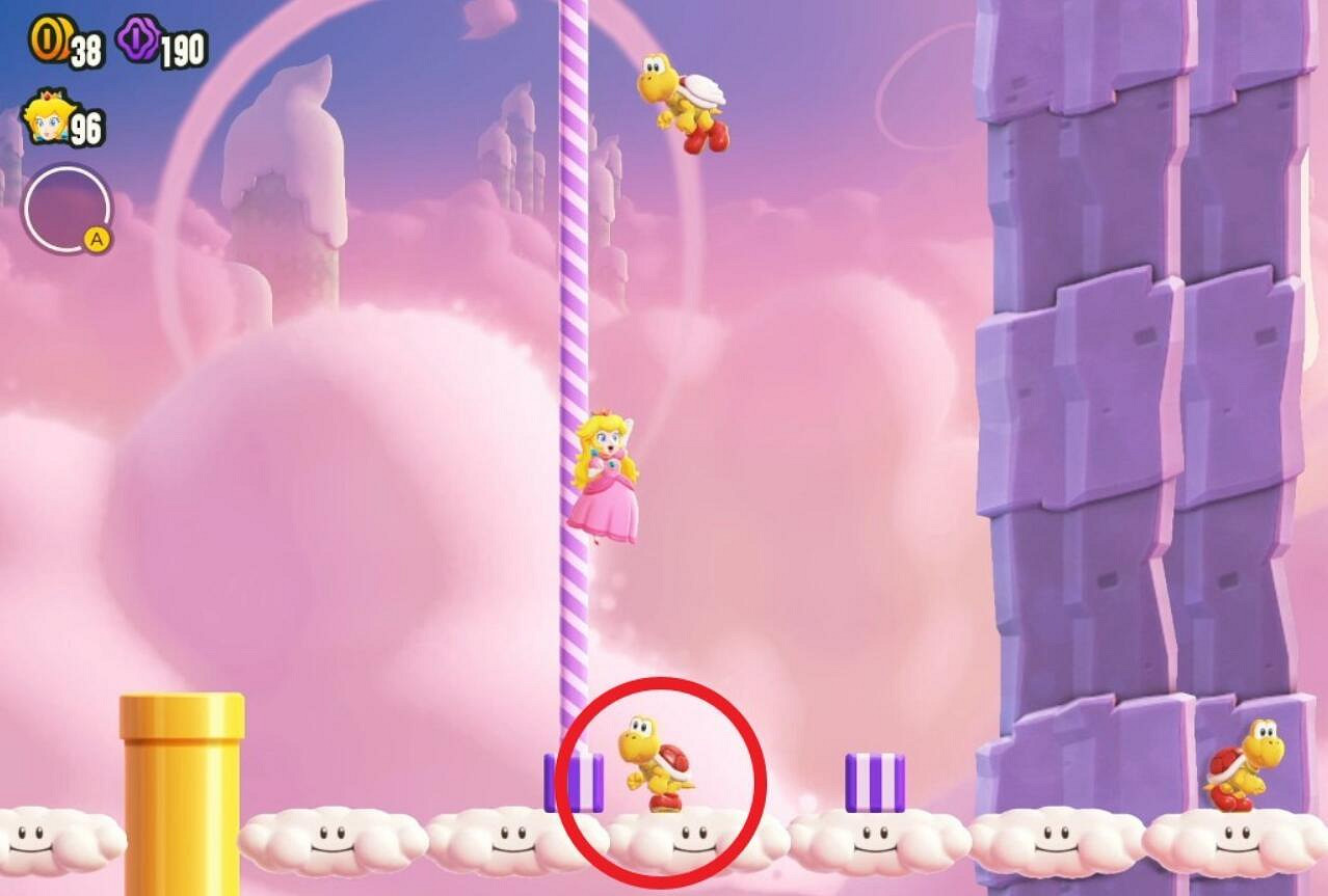 《超級瑪利歐驚奇》杆子杆子杆子紫幣全收集