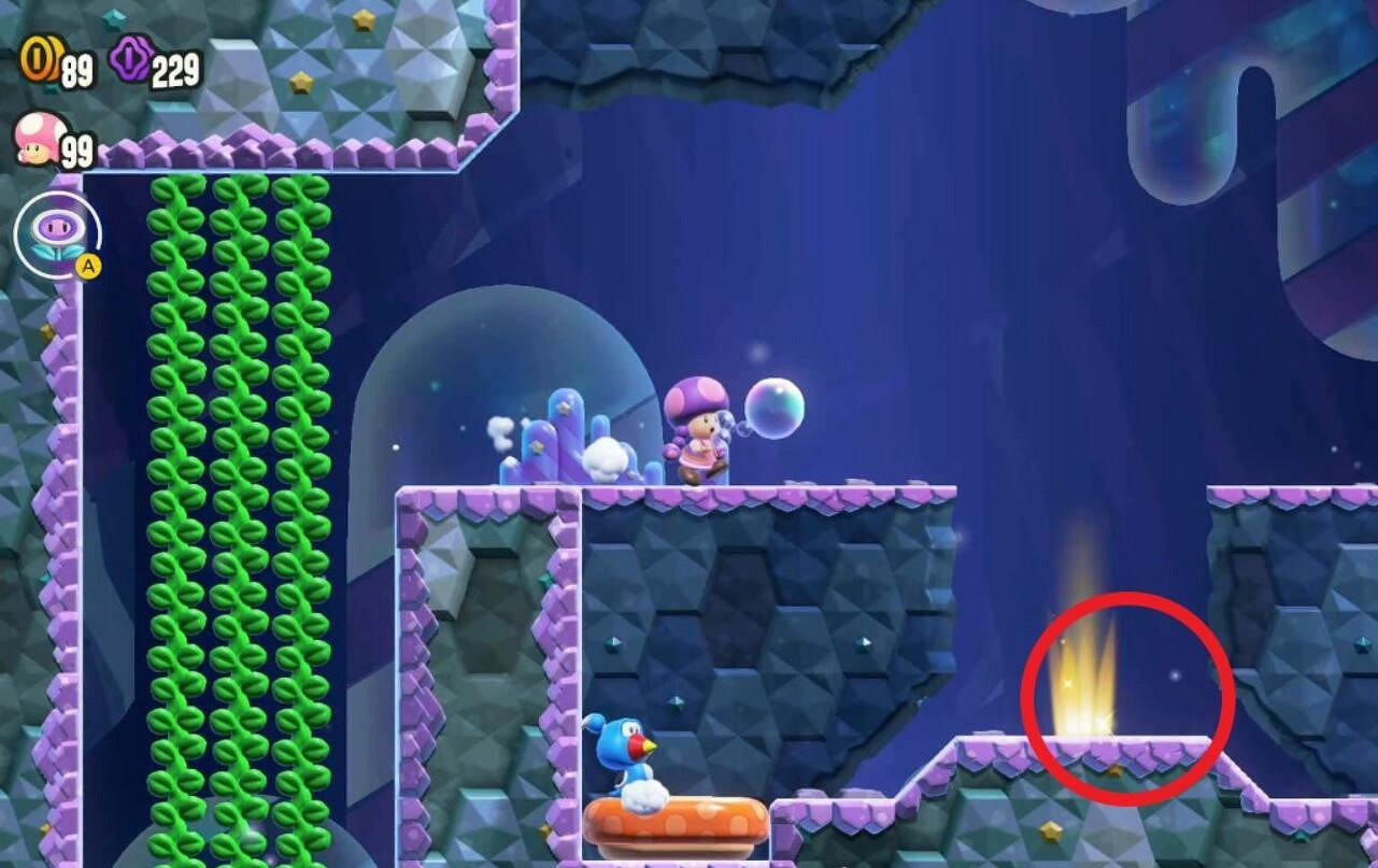 《超級瑪利歐驚奇》吹箭仔的巢穴全紫幣收集 《超級瑪利歐驚奇》吹箭仔的巢穴全紫幣收集