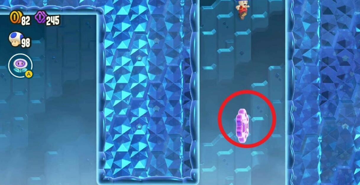 《超級瑪利歐驚奇》足小子山谷全紫幣收集