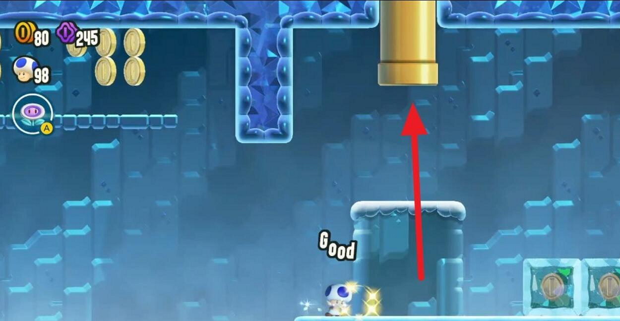 《超級瑪利歐驚奇》足小子山谷全紫幣收集