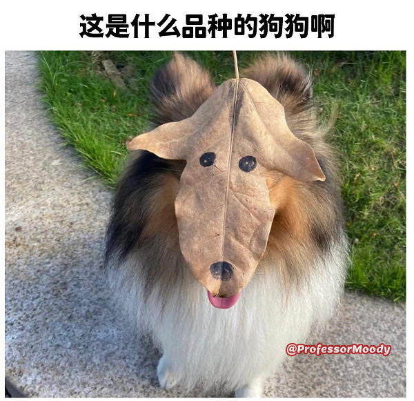 救公主哪有打球開車好玩 囧圖 這才是裙子的正確穿法