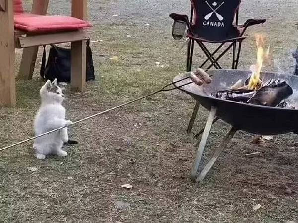 救公主哪有打球開車好玩 囧圖 這才是裙子的正確穿法