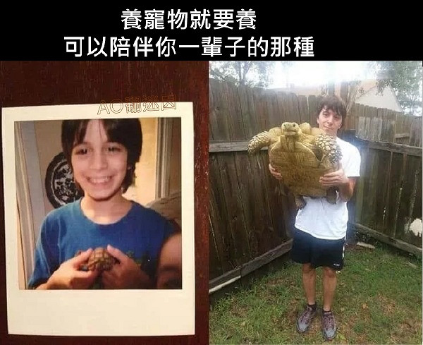 救公主哪有打球開車好玩 囧圖 這才是裙子的正確穿法