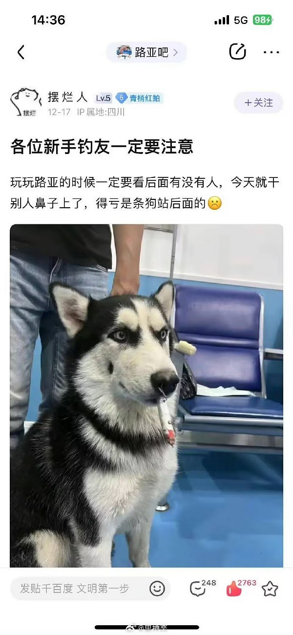 救公主哪有打球開車好玩 囧圖 這才是裙子的正確穿法