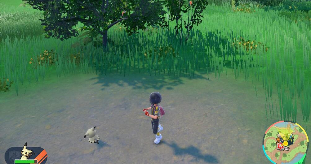 《寶可夢朱紫》美洛耶塔尋找及捕捉技巧