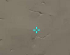 《valorant》準星設定推薦一覽 《valorant》準星設定推薦一覽