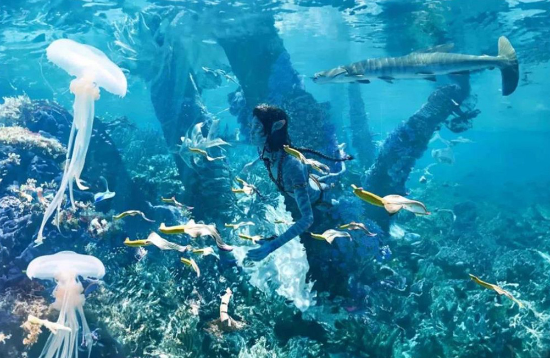 中國手遊折服了“西半球最強法務部”？？？這是我見過今年最科幻的故事