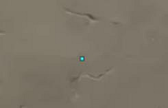 《valorant》準星設定推薦一覽 《valorant》準星設定推薦一覽