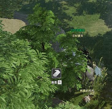 《命運方舟》比爾布森林摩可可位置攻略 《命運方舟》比爾布森林摩可可位置攻略