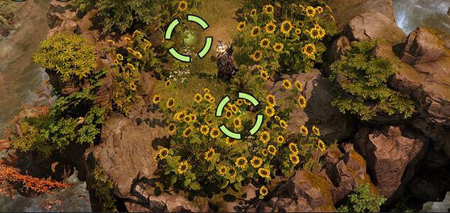 《命運方舟》向日葵島摩可可位置攻略