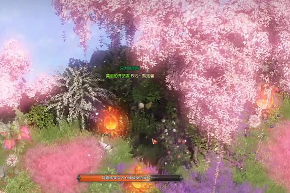 《命運方舟》利貝海姆摩可可位置攻略