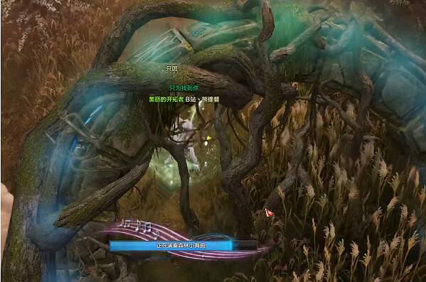 《命運方舟》繁盛蘆葦島摩可可位置攻略