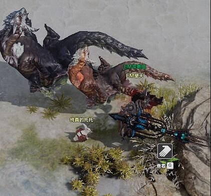 《命運方舟》薩蘭德丘陵摩可可位置攻略 《命運方舟》薩蘭德丘陵摩可可位置攻略