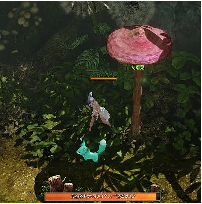 《命運方舟》巨型蘑菇島之心獲得方法