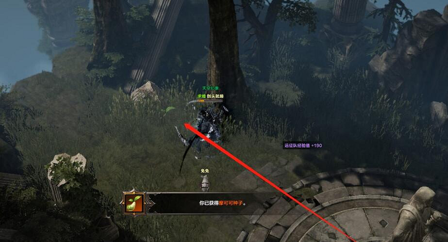 《命運方舟》希望島摩可可位置攻略 《命運方舟》希望島摩可可位置攻略