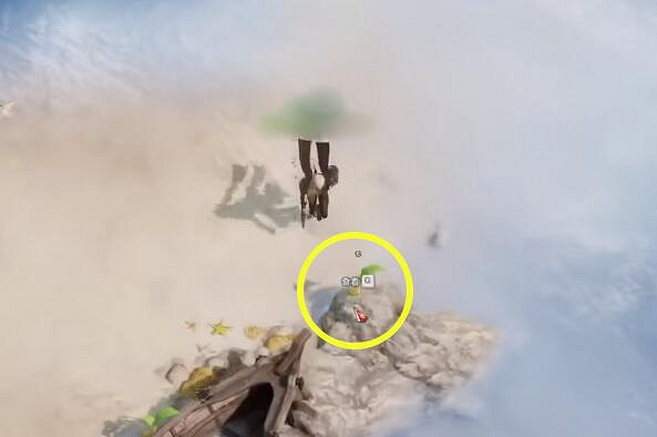 《命運方舟》孤島歐佩爾摩可可位置攻略