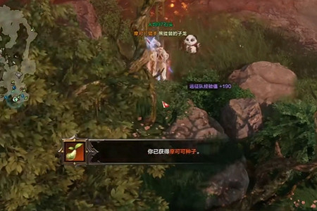 《命運方舟》洛恒戴爾摩可可怎麽獲得？洛恒戴爾摩可可獲得方法介紹