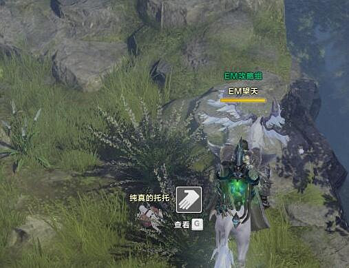 《命運方舟》帕爾納森林摩可可位置攻略 《命運方舟》帕爾納森林摩可可位置攻略